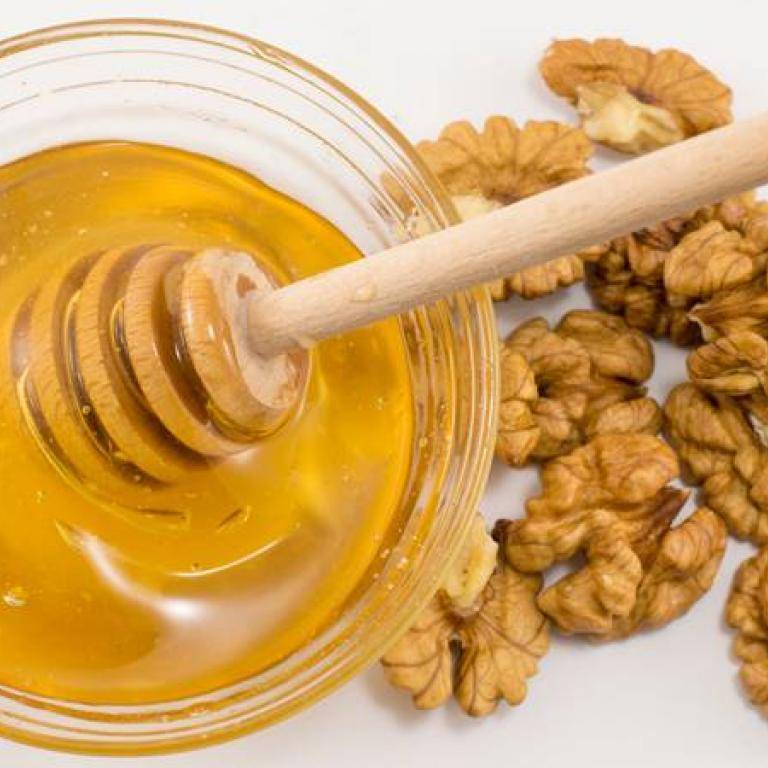 Орехи с медом: польза применения в домашних условиях