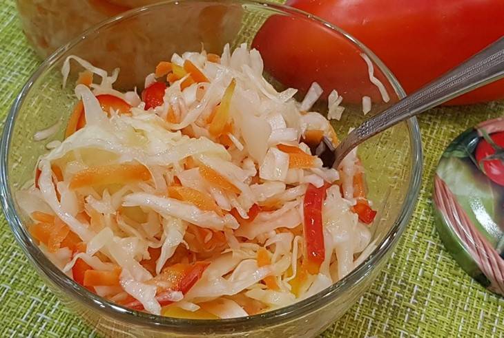 Квашеная капуста быстрого приготовления - 6 рецептов хрустящей и сочной капусты