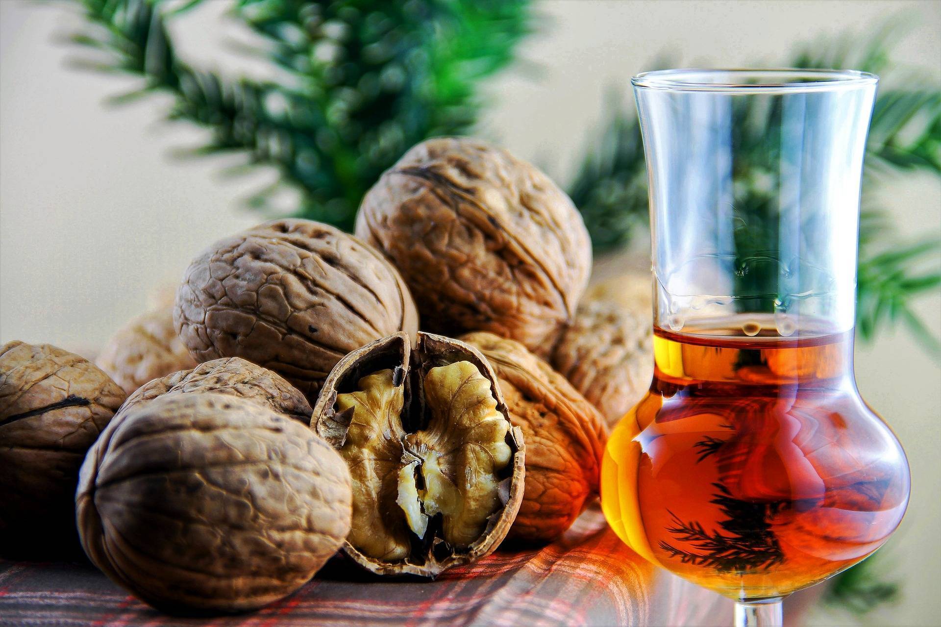 Настойка грецкого ореха: применение, польза и вред, рецепты на водке и самогоне