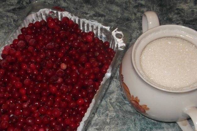 5 рецептов приготовления перетертой красной смородины на зиму без варки