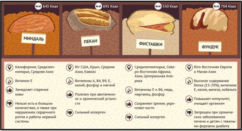 Грецкие орехи: польза и вред для организма, сколько нужно съесть в день, рецепты, отзывы
