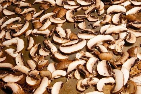 Как сушить грибы? какие грибы сушат? сушка грибов в домашних условиях