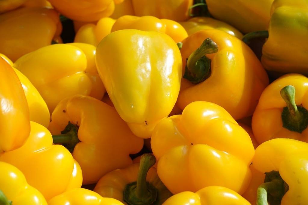 Урожайные сорта сладкого перца | сад и огород - интернет журнал о даче
