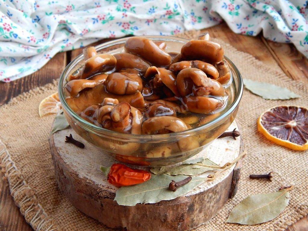 Как солить грибы на зиму, рецепт соленых грибов в банках горячим и холодным способом