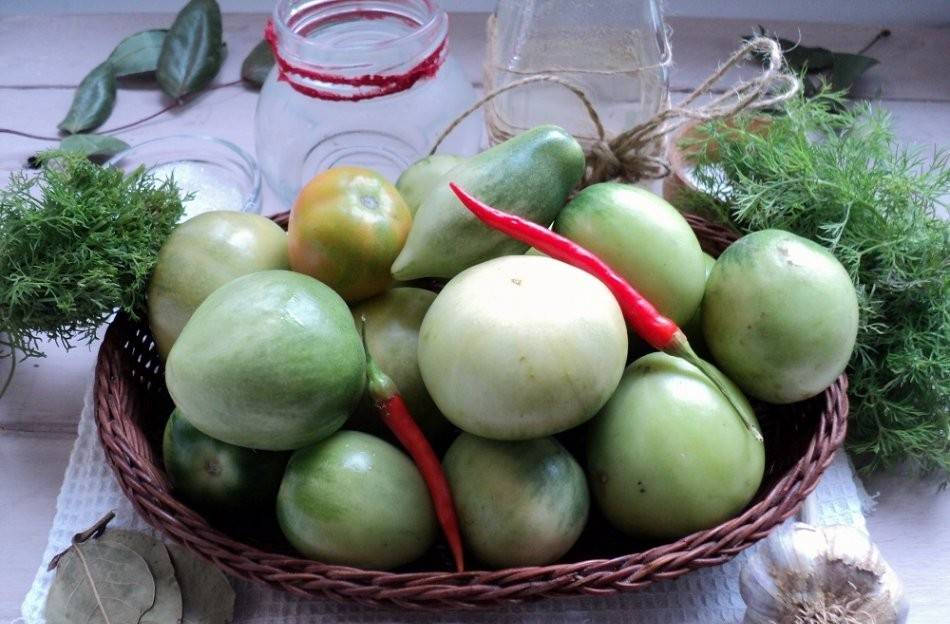Соление зеленых помидоров простые рецепты