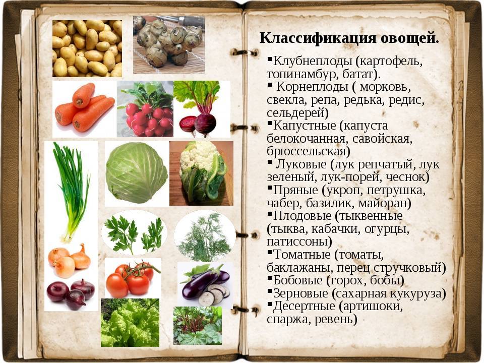 Календарь заготовок на зиму по месяцам - из овощей, ягод, фруктов