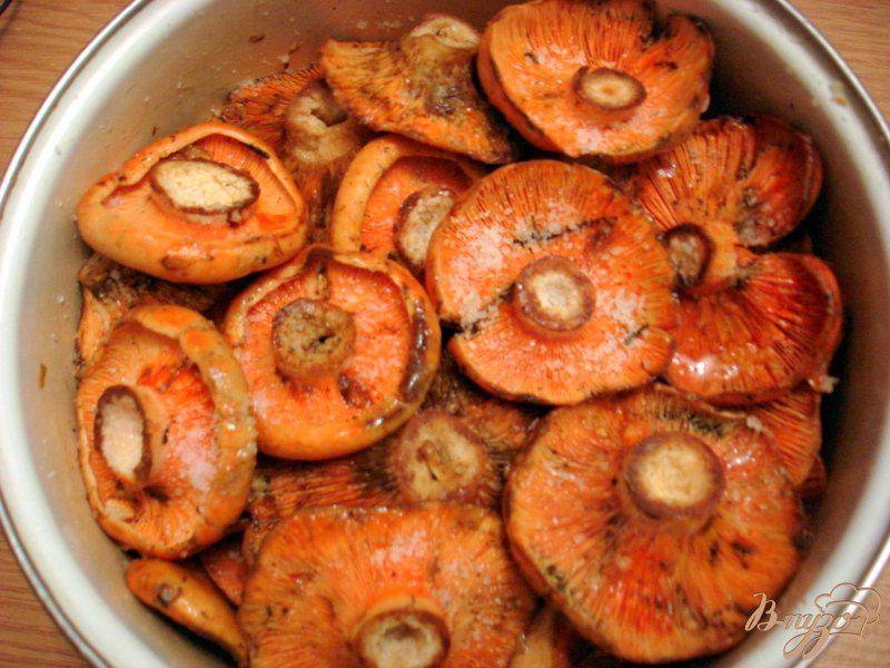Рыжики соленые горячим способом — пошаговый рецепт с фото