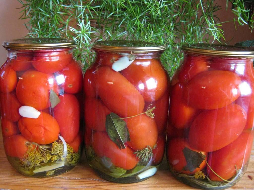 Консервированные помидоры: рецепты, калорийность, польза и вред