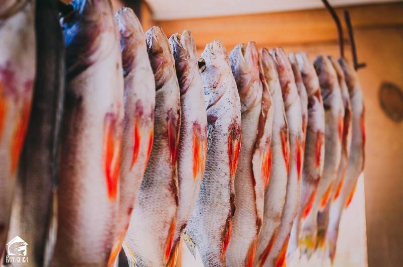 Правила хранения соленой рыбы в рассоле и в сухом виде в холодильнике или морозилке