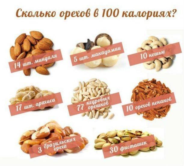 Сколько орехов можно есть в день – кешью и грецких?