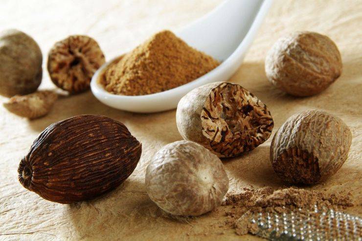 Маньчжурский орех — полезные свойства и вред | польза и вред