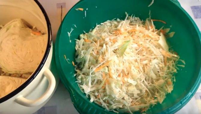 Очень вкусная квашеная капуста на зиму: классические рецепты
