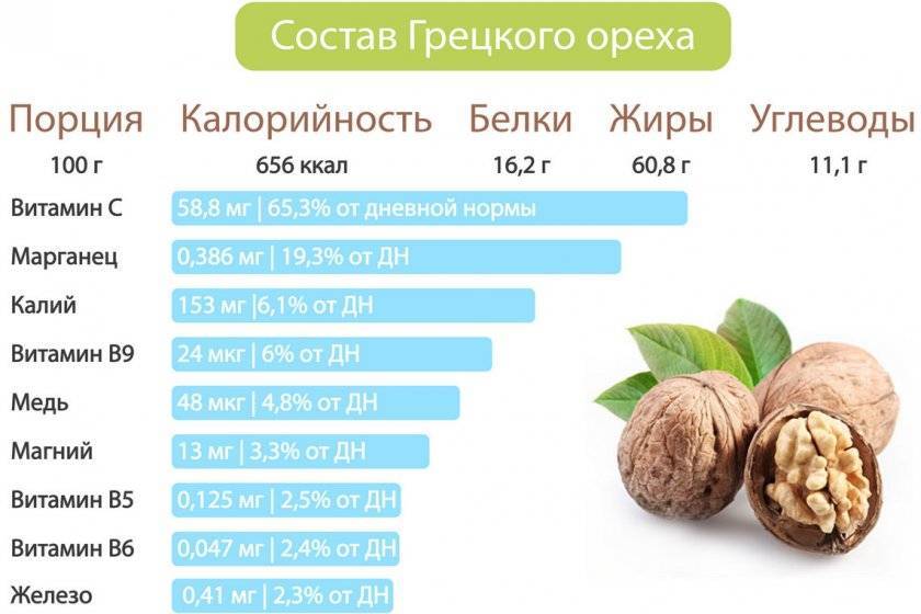 Какие орехи можно есть на диете, рекомендации для похудения на грецких орехах