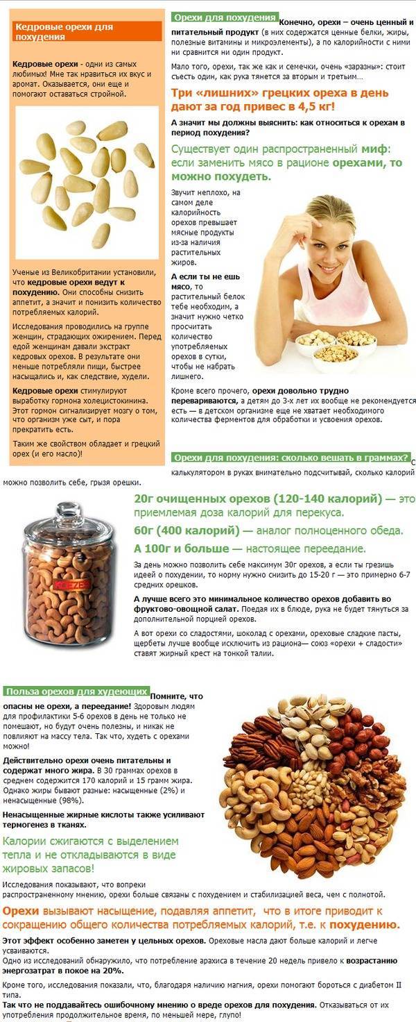 Грецкие орехи – польза и вред для организма. сколько нужно съесть в день для оздоровления?