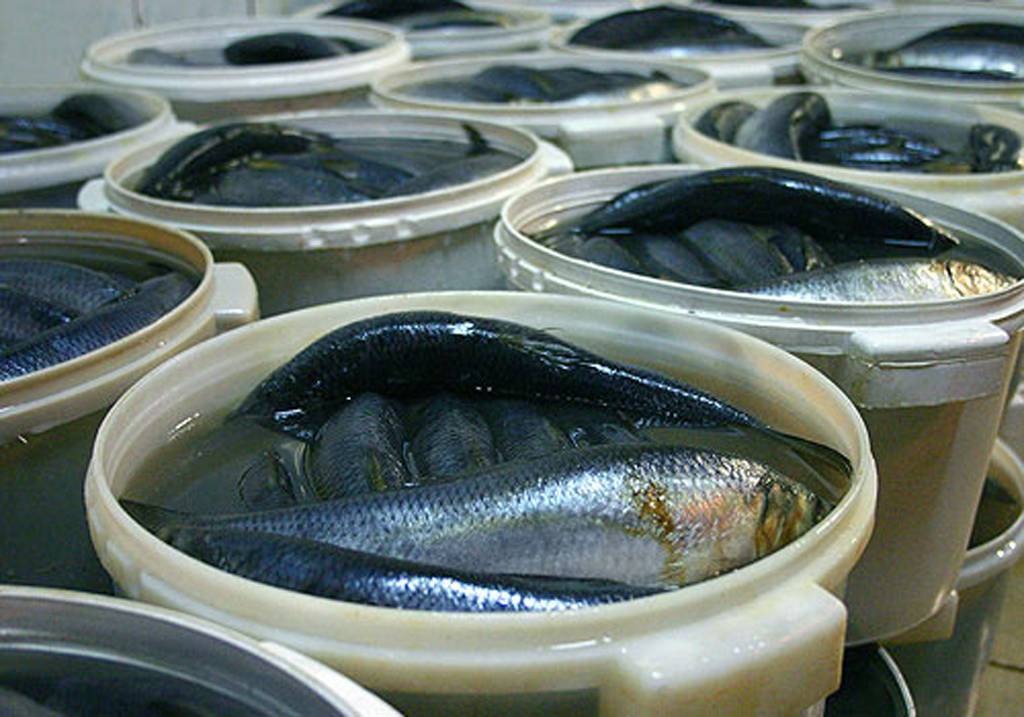 Как солить рыбу: особенности, виды соления, хранение