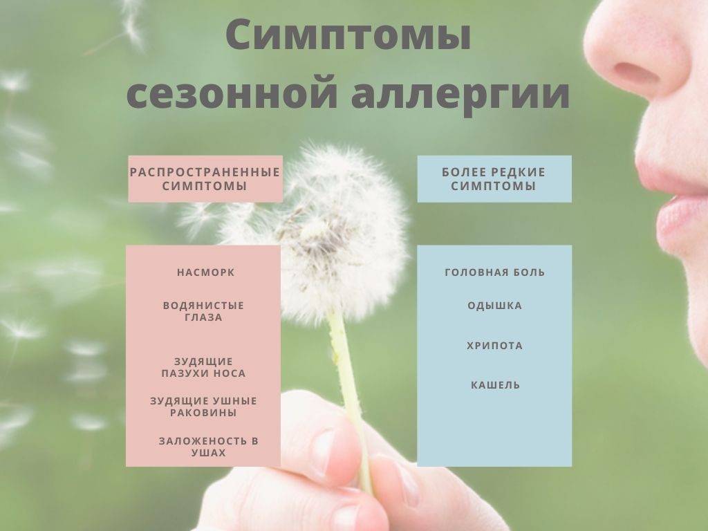 Перекрестная аллергия: основные принципы и таблицы