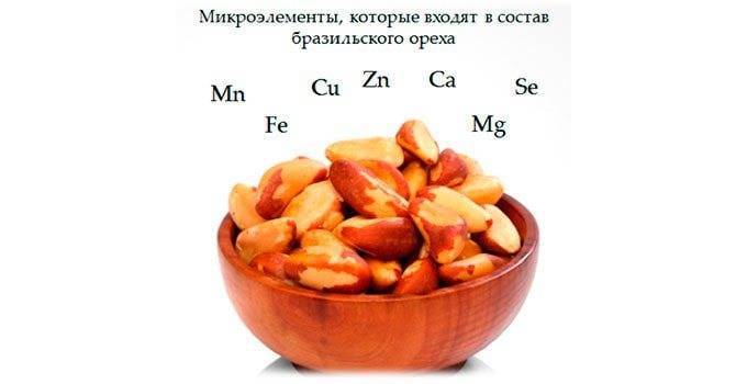 Кедровые орехи. калорийность на 100 грамм, 1 шт., в столовой ложке, польза для организма, сколько употреблять