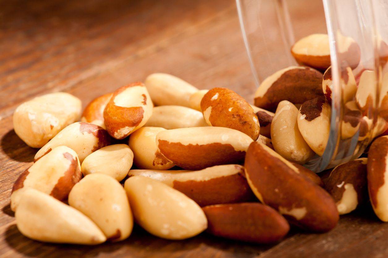 Польза бразильского ореха — свойства, особенности употребления и опасность передозировки (75 фото + видео)