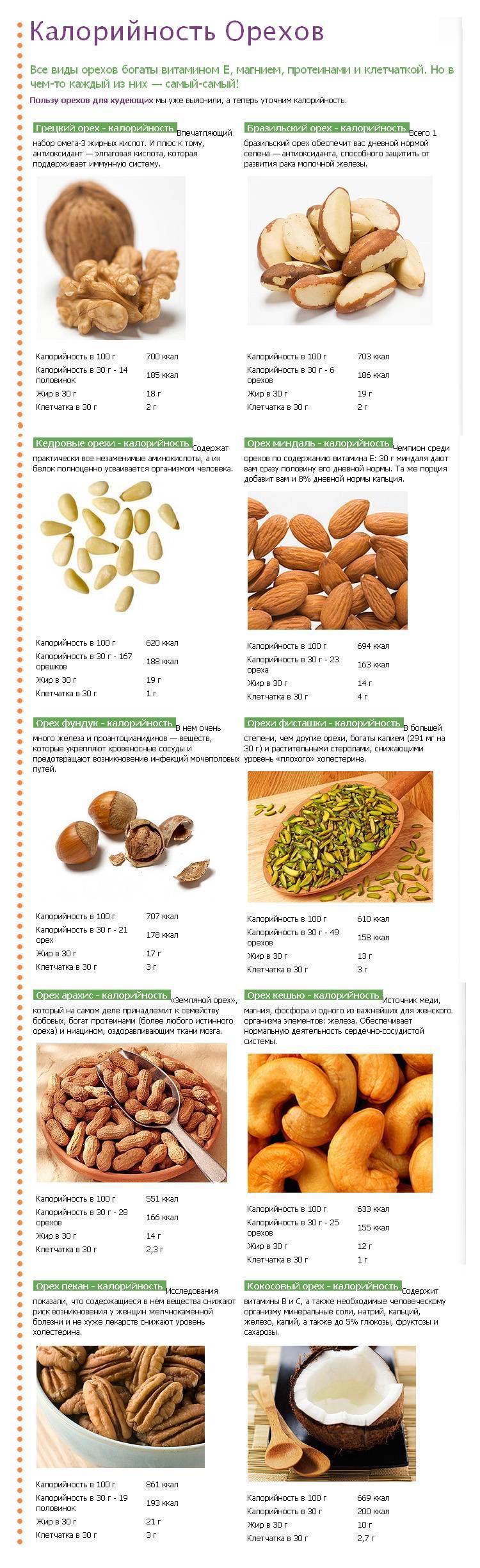 Какие орехи можно есть при похудении и сколько можно съедать в день