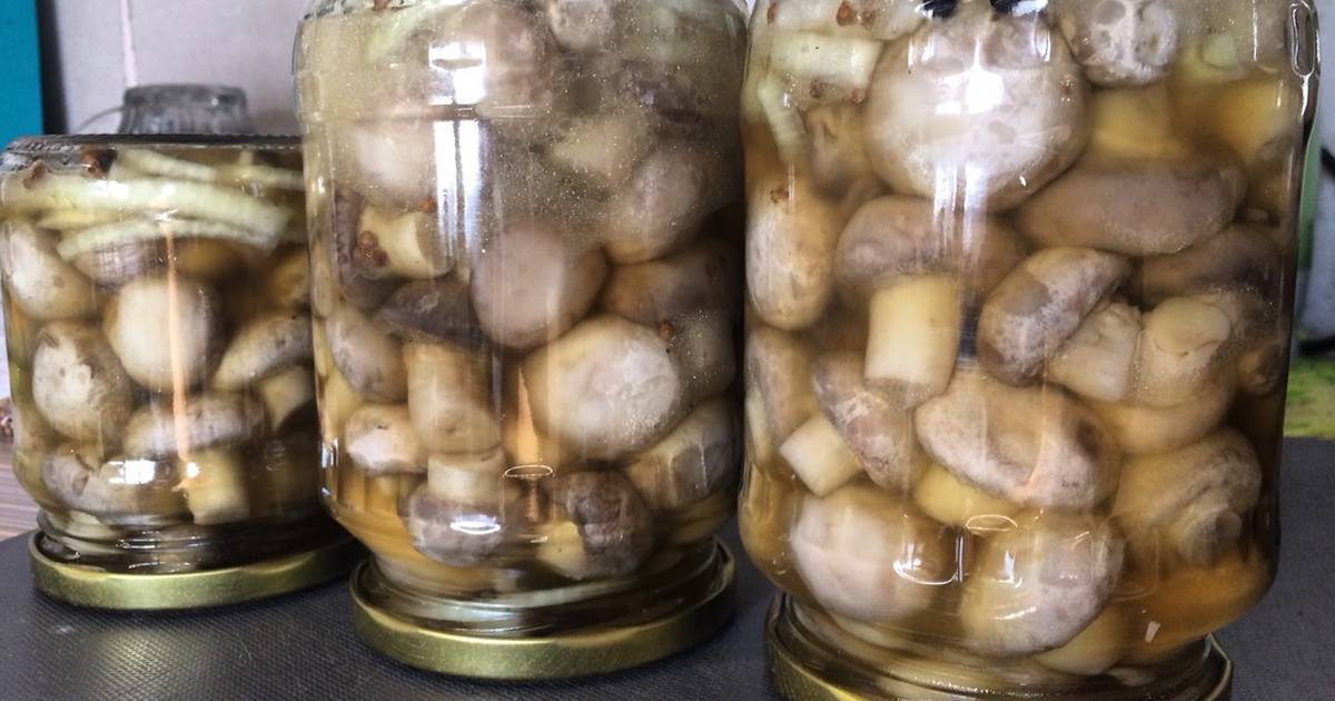 Рассол для грибов маринованных. маринованные шампиньоны в домашних условиях — 7 очень вкусных рецептов быстрого приготовления | здоровье человека