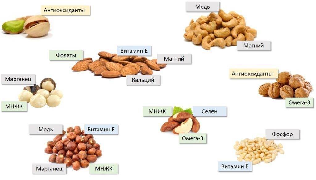 Можно ли есть орехи при беременности? чем полезны? какие - грецкие, кедровые, мускатные можно есть?