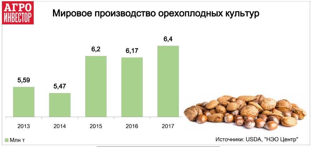 Суточная норма орехов в день: таблица для женщин, мужчин, детей - орех эксперт