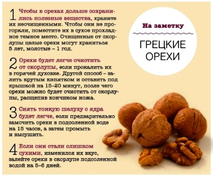 Кедровые орехи детям: с какого возраста ребёнку можно есть орешки, польза и возможный вред