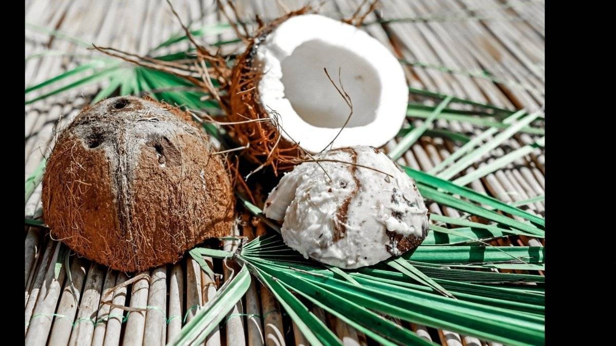 Кокос: польза и вред ореха