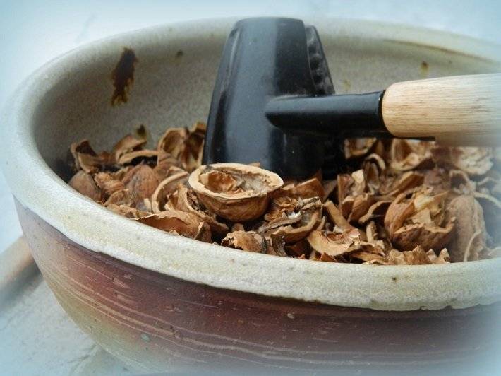 Как использовать скорлупу и листья грецкого ореха для растений?
