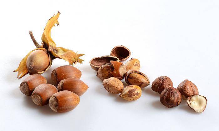 Лещина, фундук, лесной орех: в чем различие?