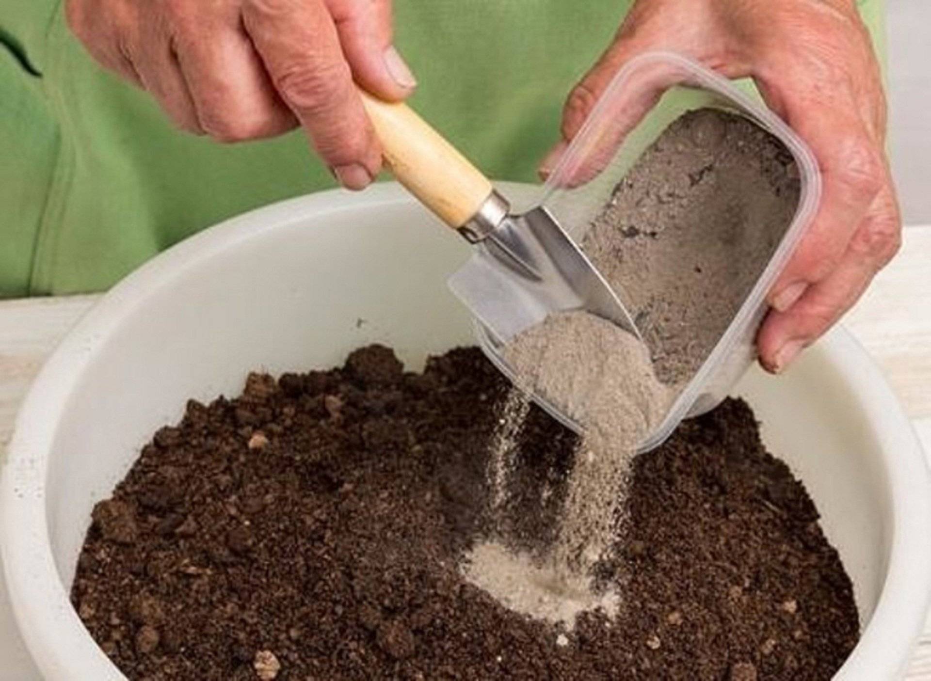 Подготовка почвы к посадке: виды и особенности — cельхозпортал