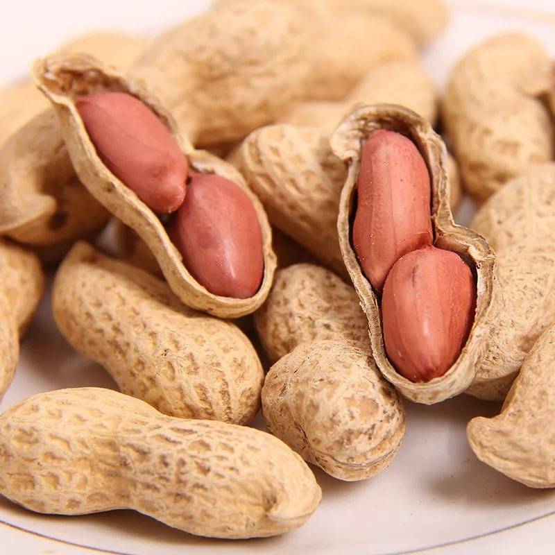 Жареный арахис: польза и вред для организма человека