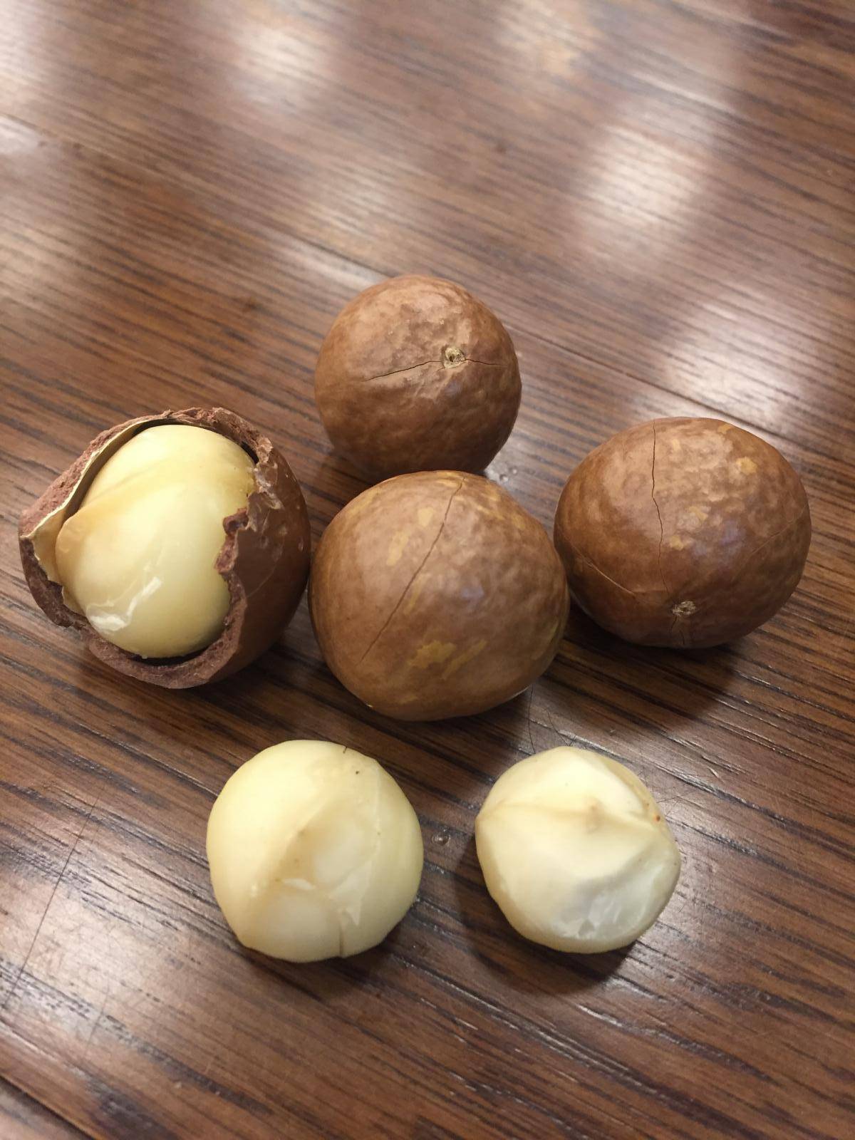 Макадамия — орех, который открывают ключом: как еще называется, где растет, зачем ему надрез?