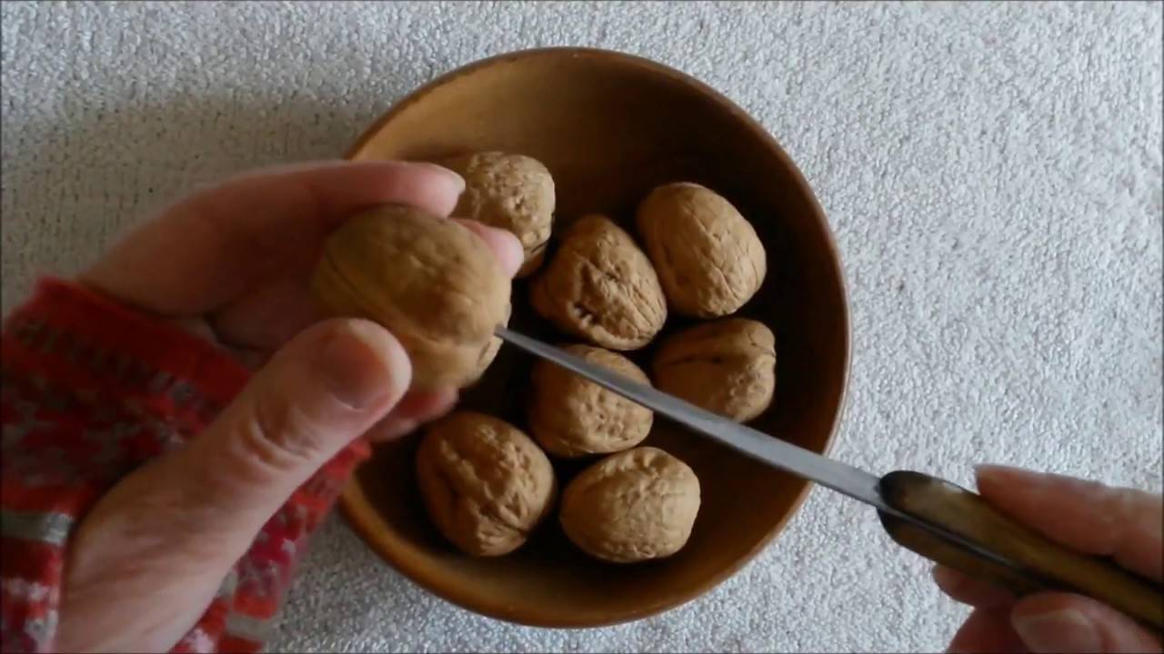 Как хранить очищенный грецкий орех в домашних условиях: советы, отзывы