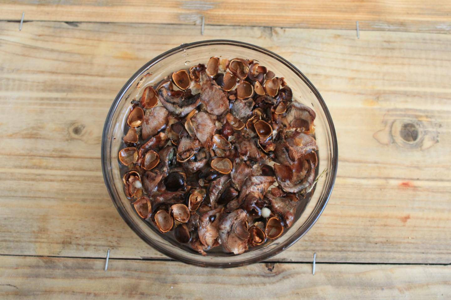Самогон на кедровых орешках: рецепты в домашних условиях, пропорции