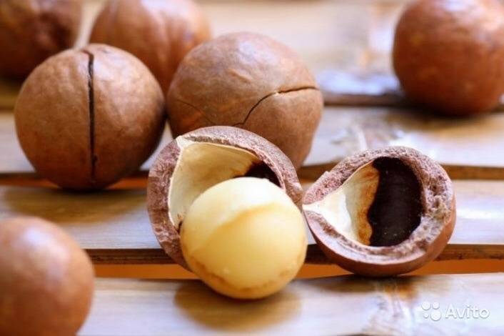 Орехи макадамия: польза и вред
