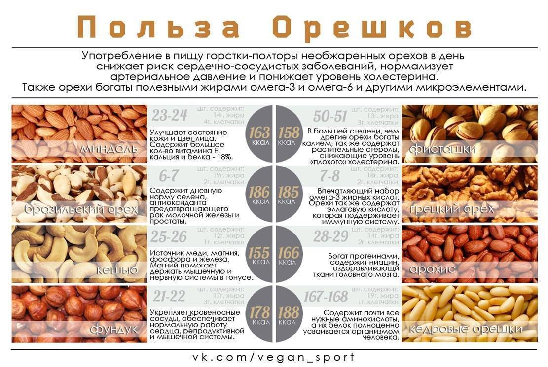 Орехи и холестерин – влияние на здоровье, свойства популярных видов орехов