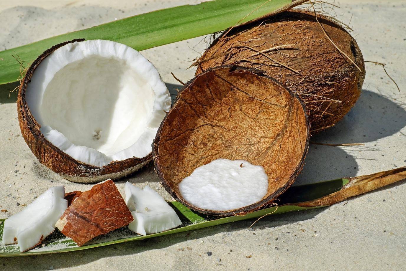 Кокосовый орех или кокос: полезен или вреден? калорийность, польза и вред кокоса, и его влияние на здоровье детей и взрослых - автор екатерина данилова - журнал женское мнение