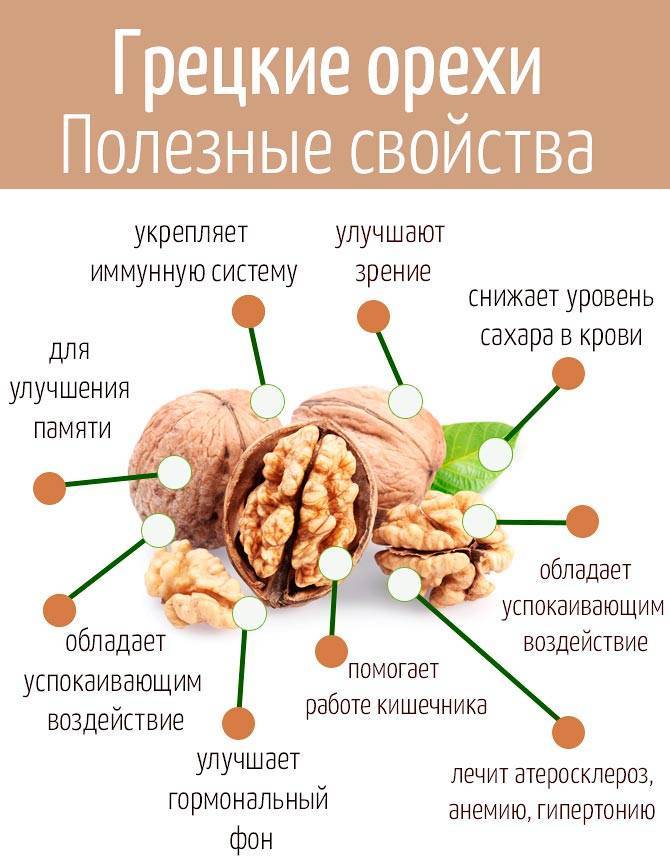 Самые полезные орехи для организма человека