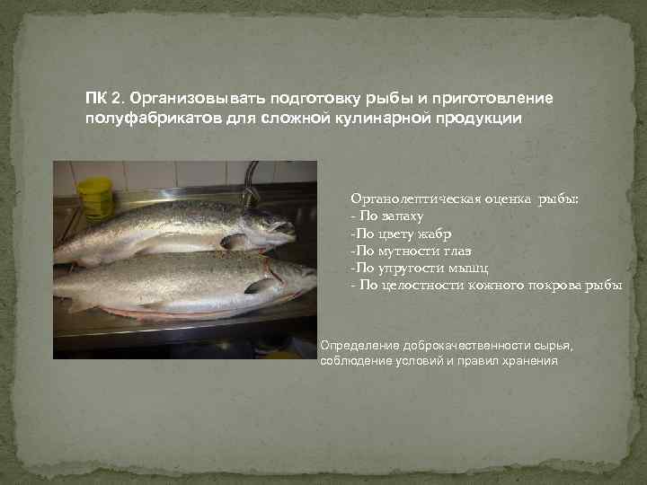 Требования к качеству рыбных полуфабрикатов