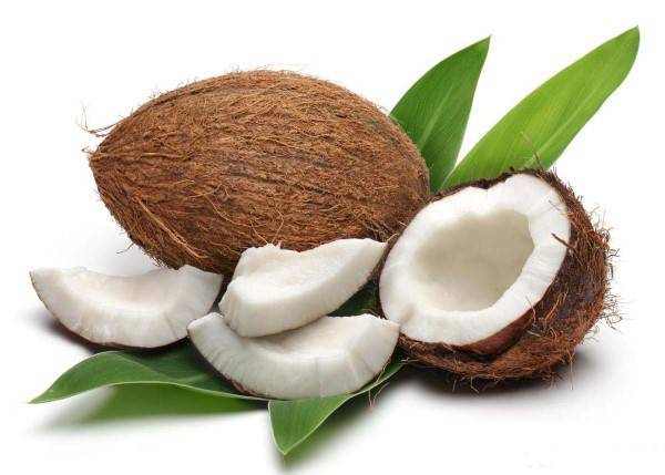 Мякоть кокоса: области применения, 5 лучших рецептов, польза и вред