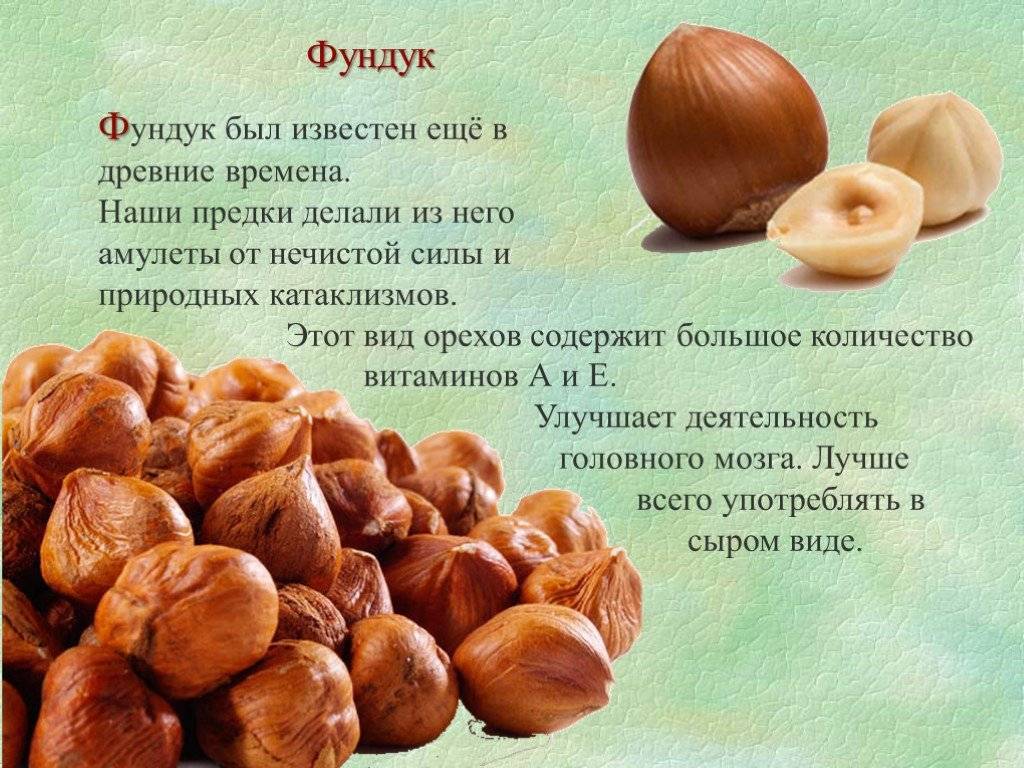 Пророщенные грецкие орехи: польза и вред, лечение средствами из проросших плодов, а также как проращивать для еды?