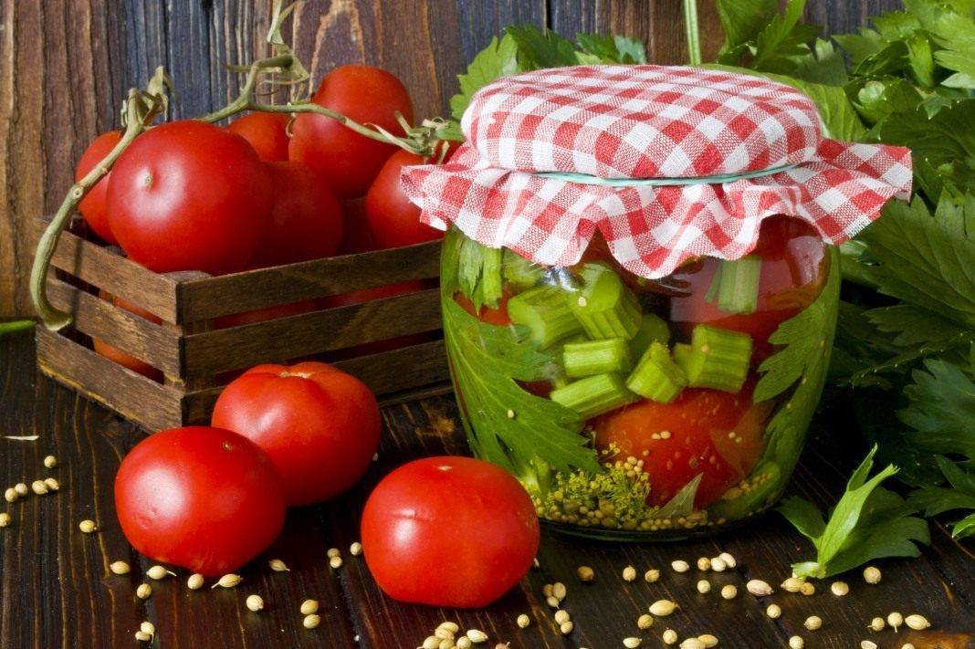 Рецепт соленых помидоров с горчицей - 7 пошаговых фото в рецепте